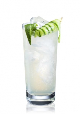 Helsinki Mule